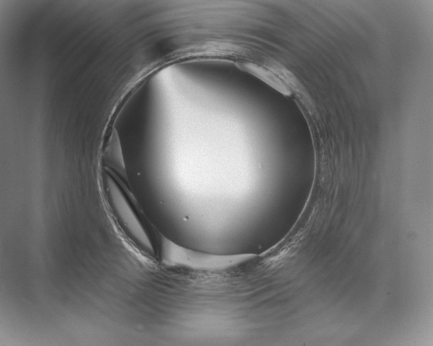 X0000073530850200608141024
