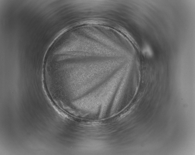X0000073530853200608141024