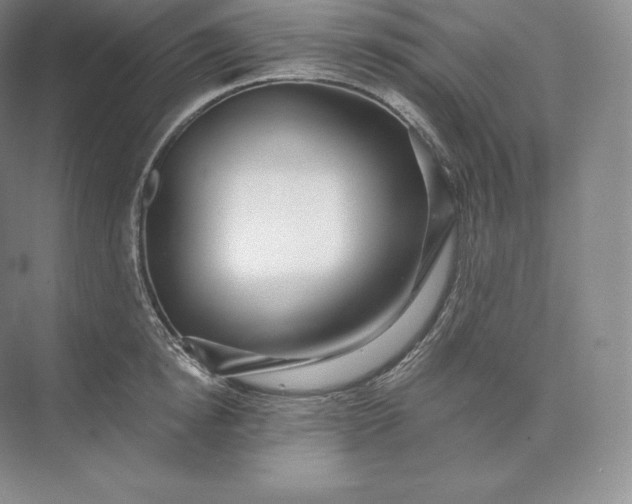 X0000073530854200608141024