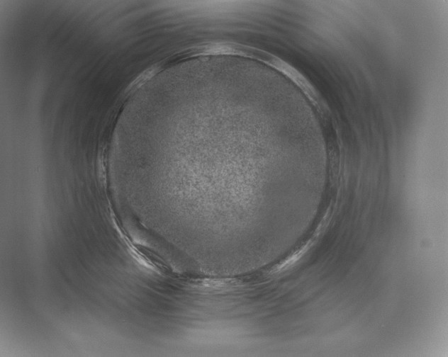 X0000073530857200608141024