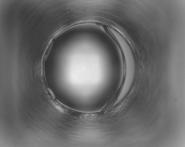 X0000073530858200608141024