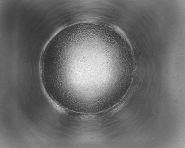 X0000073530859200608141024