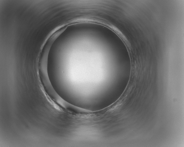 X0000073530862200608141024