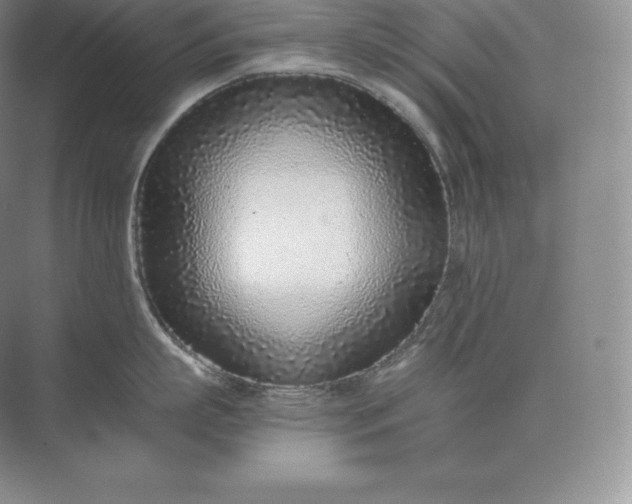 X0000073530863200608141024