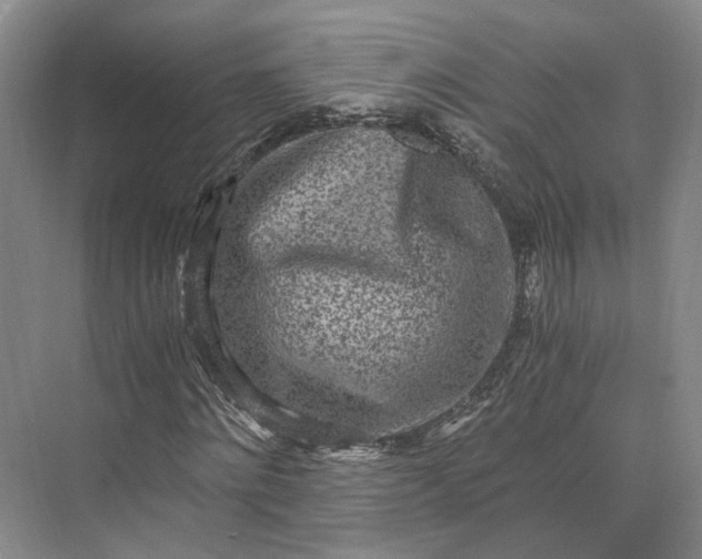 X0000073530868200608141024