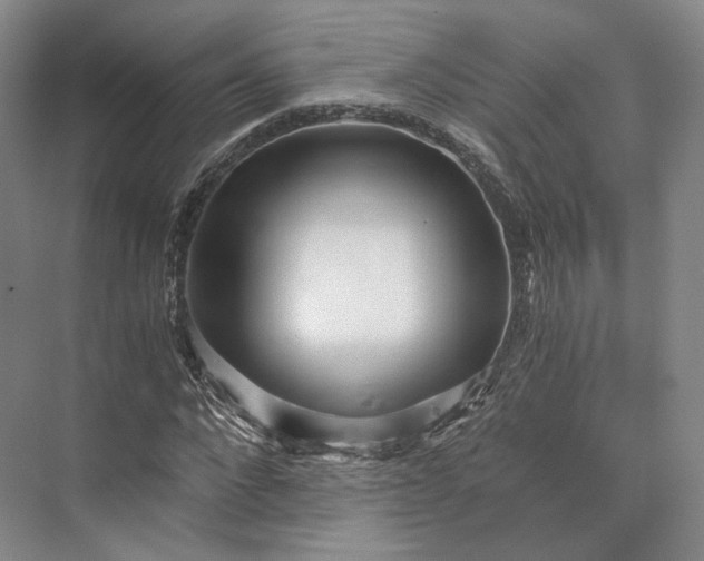 X0000073530872200608141023