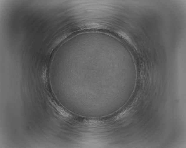 X0000073530873200608141023