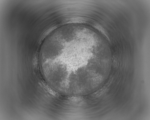 X0000073530874200608141023