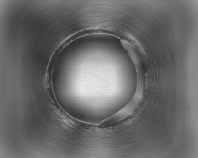 X0000073530876200608141023