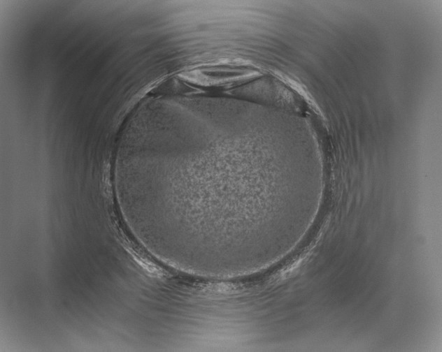 X0000073530881200608141023