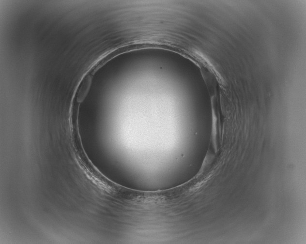 X0000073530884200608141023