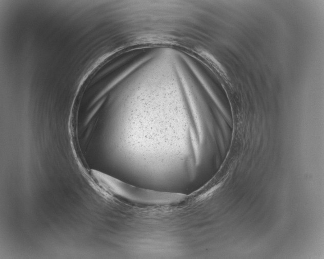 X0000073530893200608141023