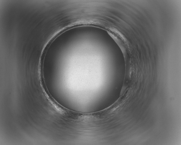 X0000073530894200608141023