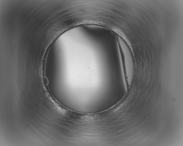 X0000073530898200608141023
