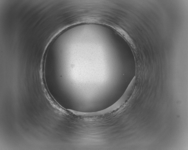 X0000073530904200608141023