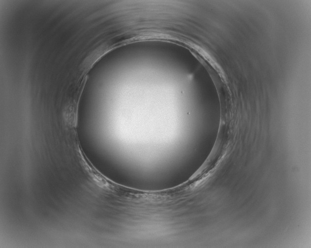 X0000073530905200608141023