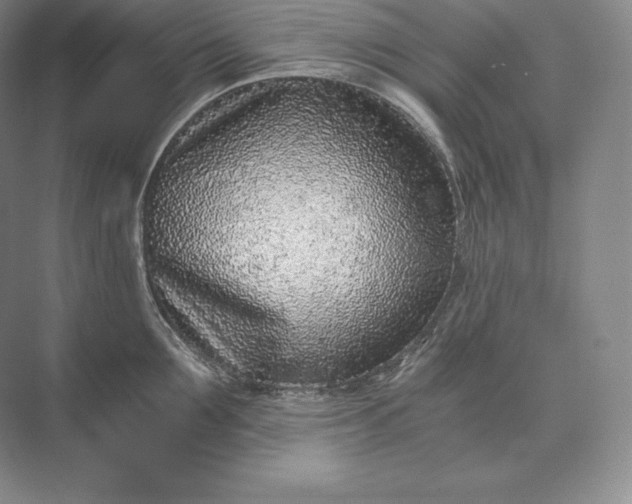 X0000073530907200608141023