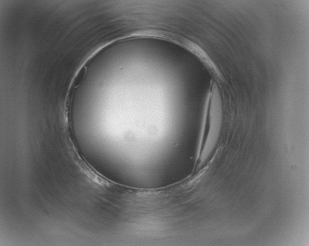X0000073530908200608141023