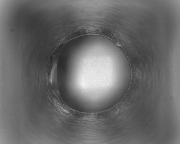 X0000073530914200608141022