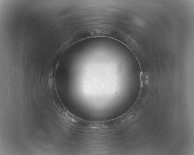 X0000073530915200608141022