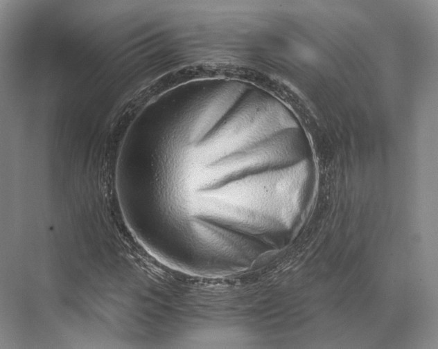 X0000073530919200608141022