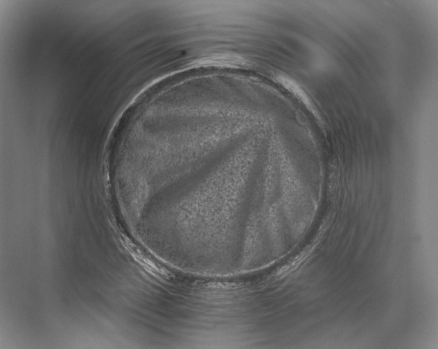 X0000073530923200608141022