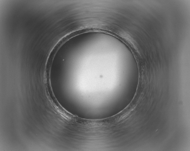 X0000073530924200608141022
