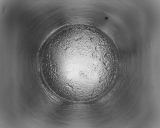 X0000073530925200608141022