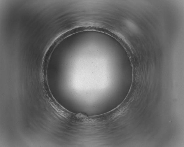 X0000073530927200608141022