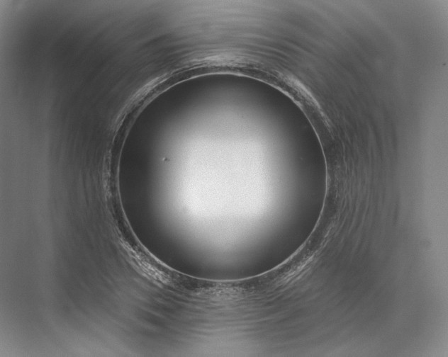X0000073530930200608141022