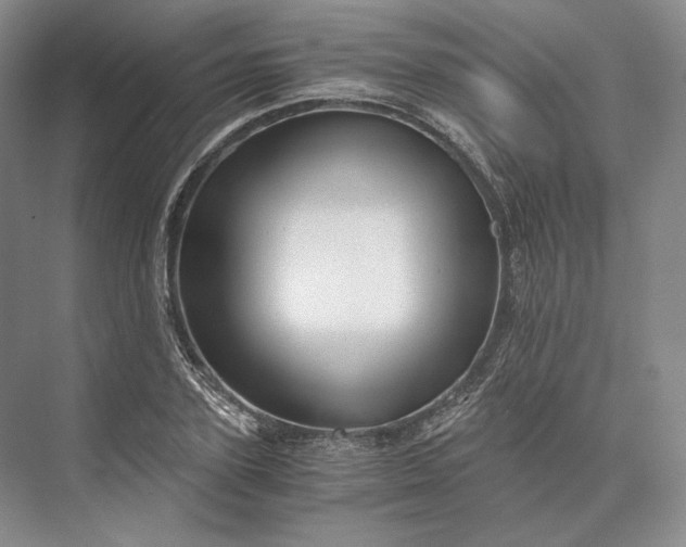 X0000073530931200608141022