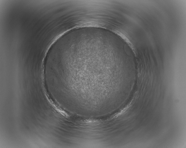 X0000073530933200608141022