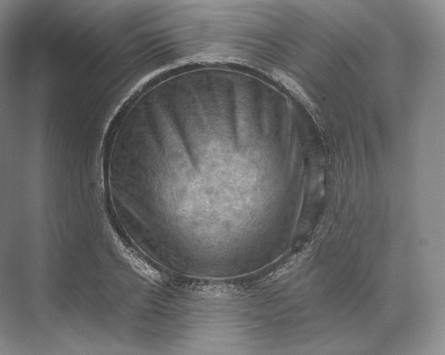 X0000073530934200608141022