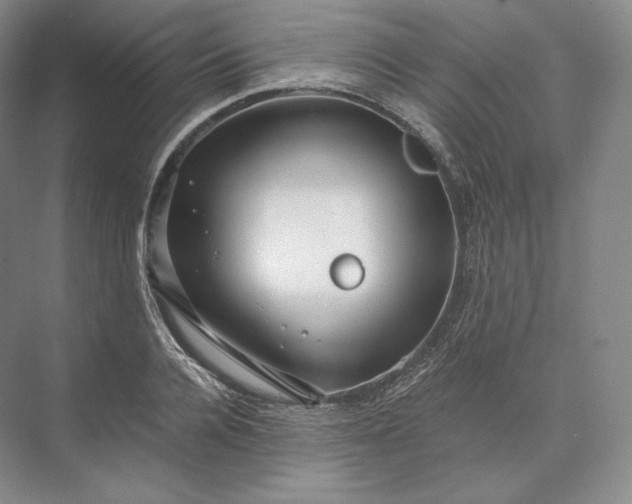 X0000073530936200608141022