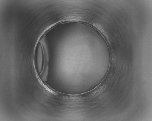 X0000073530941200608141022