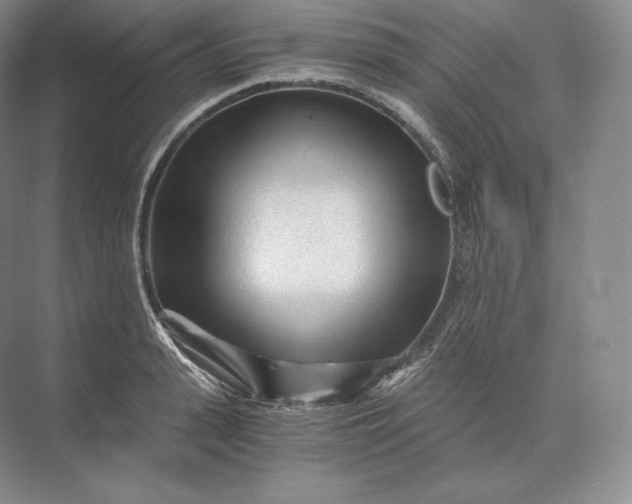 X0000073530943200608141022