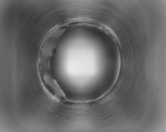 X0000073530946200608141023