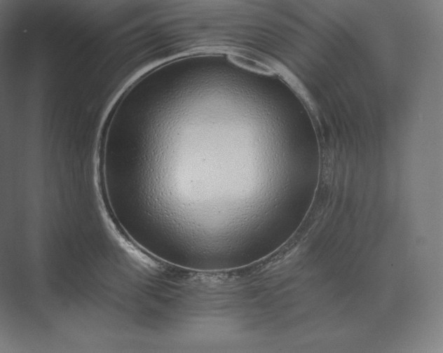 X0000073530955200608141023