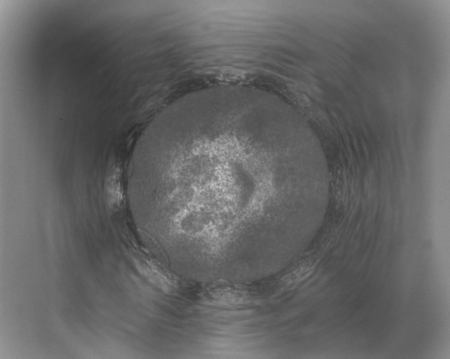 X0000073530962200608141022