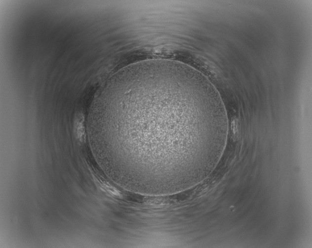 X0000073530963200608141022