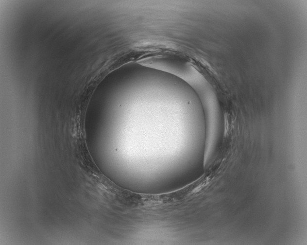 X0000073530965200608141022