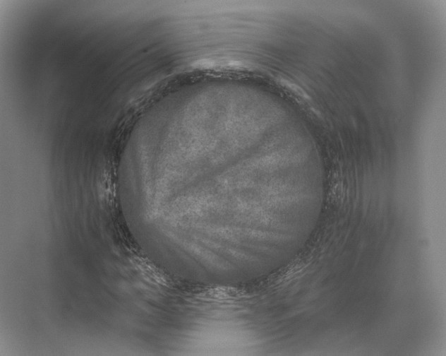 X0000073530966200608141022