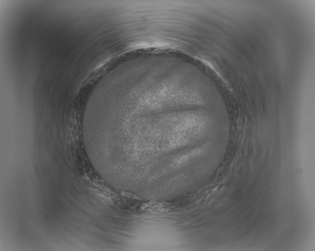 X0000073530967200608141022