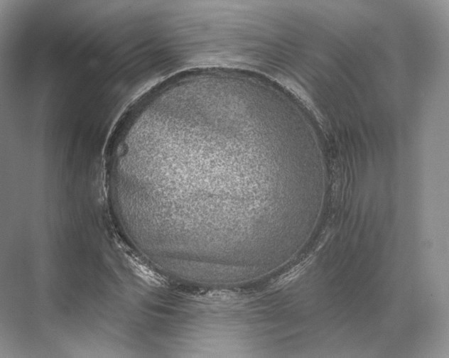 X0000073530974200608141022