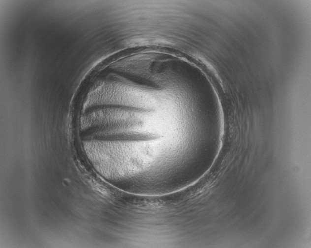 X0000073530975200608141022