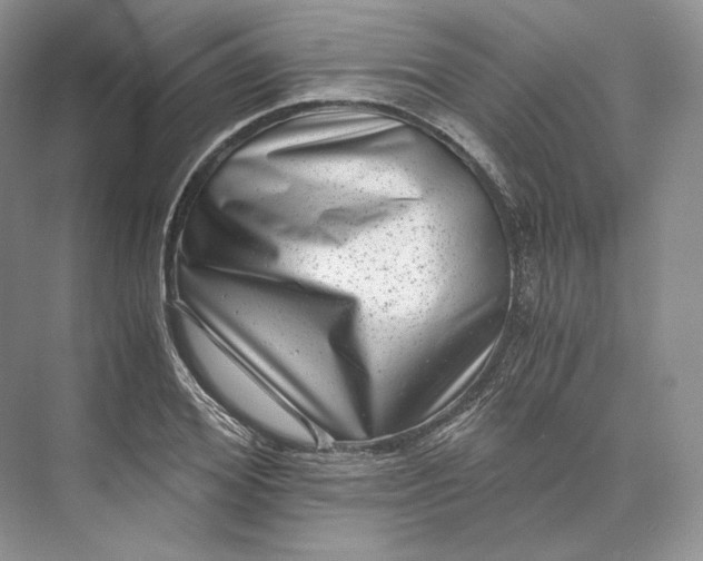 X0000073530980200608141022