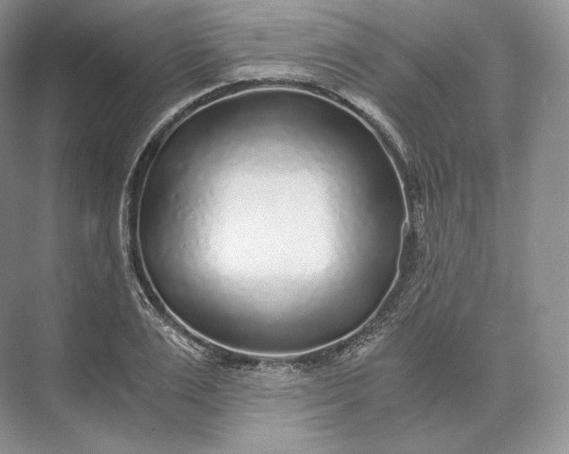 X0000073530983200608141022