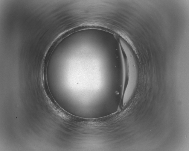 X0000073530984200608141022