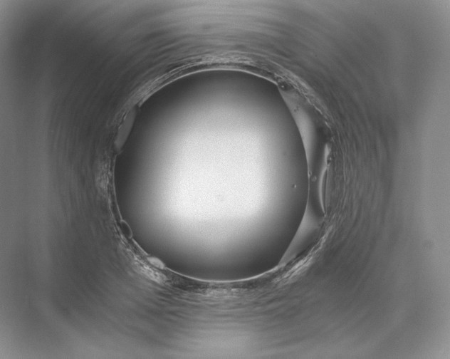 X0000073530985200608141022
