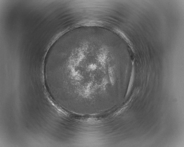 X0000073530986200608141022